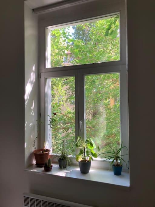 Cozy Karlin Lägenhet Prag Exteriör bild